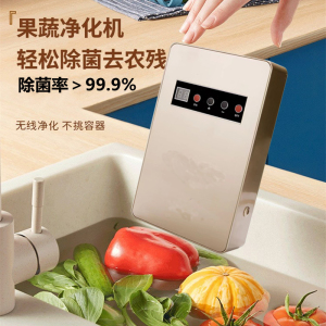 净化器家用空气小型卧室杀菌消毒解毒机活氧机肉类水果蔬菜清洗机